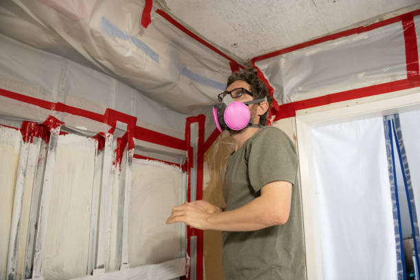 Biohazard Mold Removal in Weber City, VA