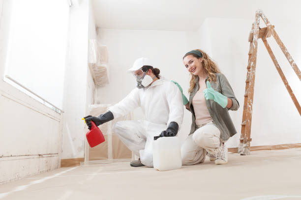 Best Environmental Consulting for Mold Prevention  in Weber City, VA